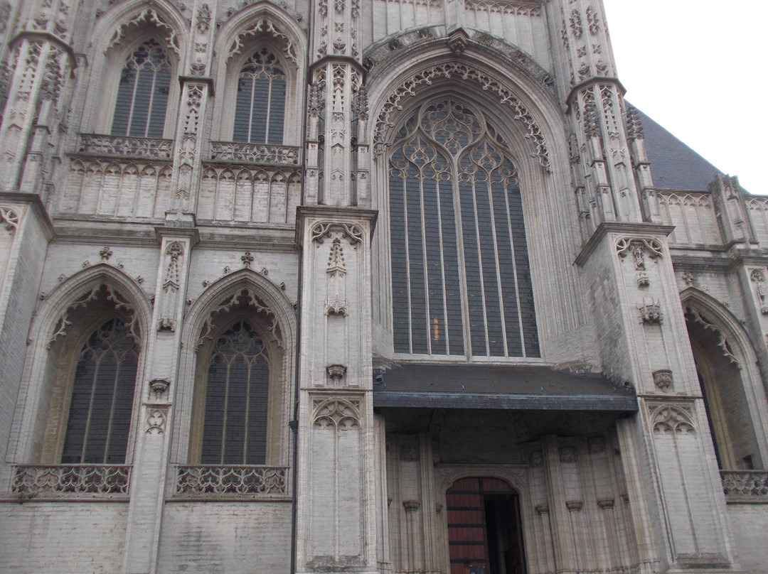 Saint Peter's Church (Sint-Pieterskerk)-鲁汶必去景点