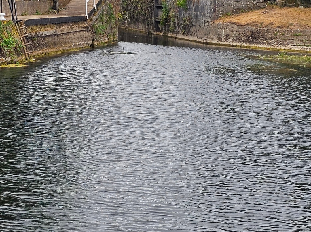 Athy Boat Tours-Athy必去景点