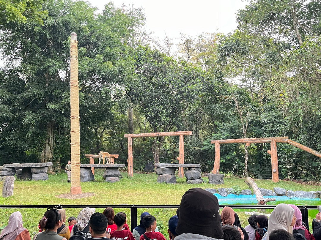 Taman Safari Prigen-Prigen必去景点