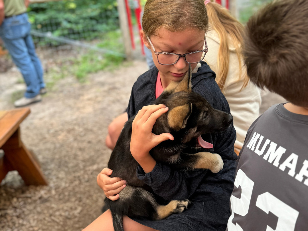 MIDOG - Michigan's Summer Sled Dog Center-Newberry必去景点