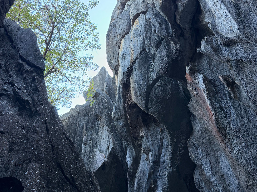 Sightseeing Tours Australia-墨尔本必去景点