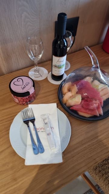莱昂纳多广场太巴列酒店-旅行者