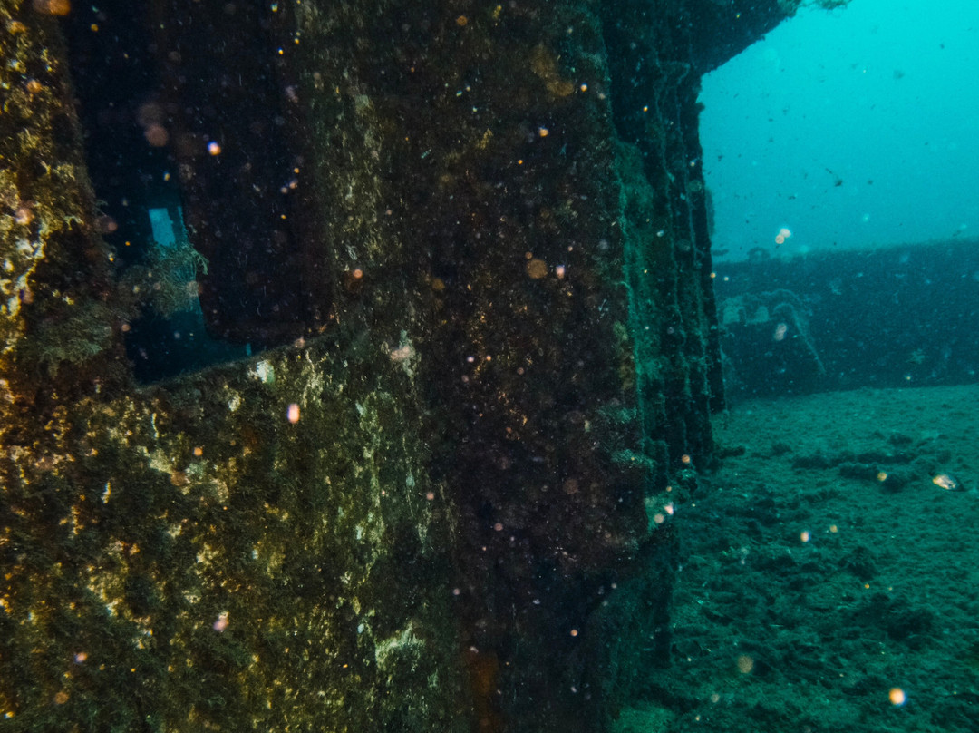 Diving Center Mihuric-塞尔赛必去景点