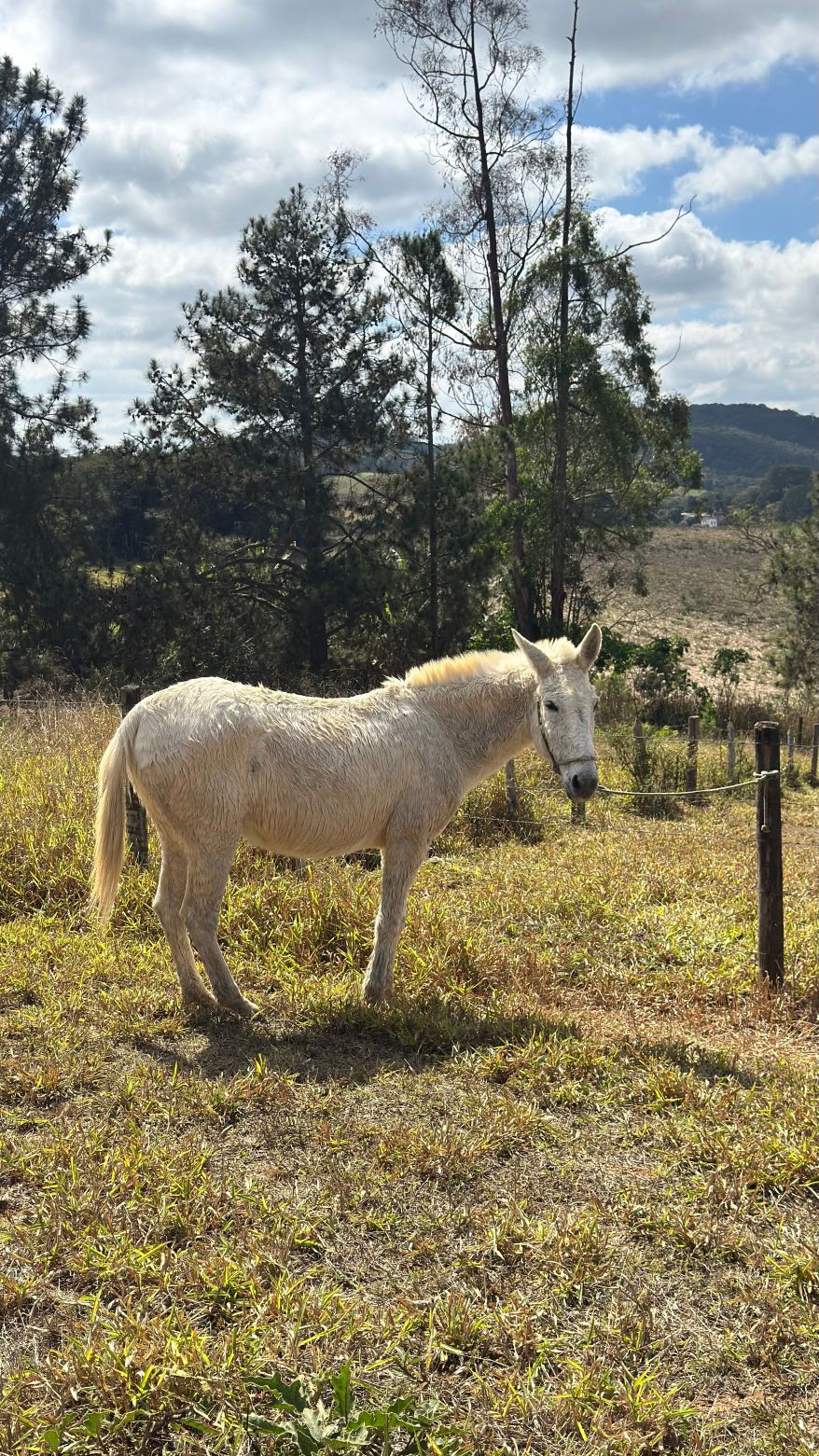 Estalagem Fazenda Lazer-旅行者