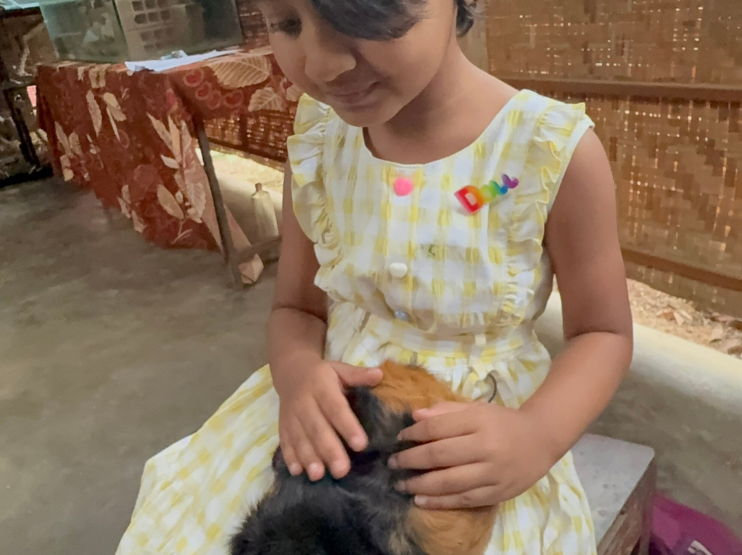 Prani, The Pet Sanctuary-班加罗尔必去景点