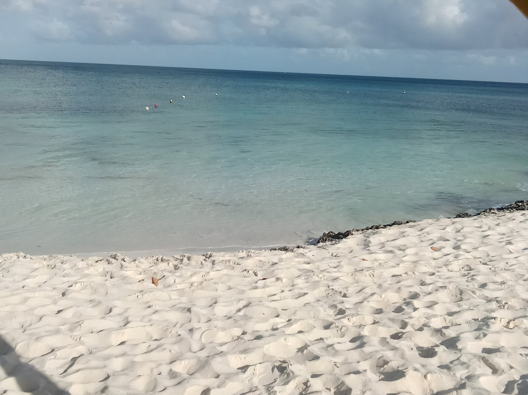 Eagle Beach-棕榈/鹰海滩必去景点