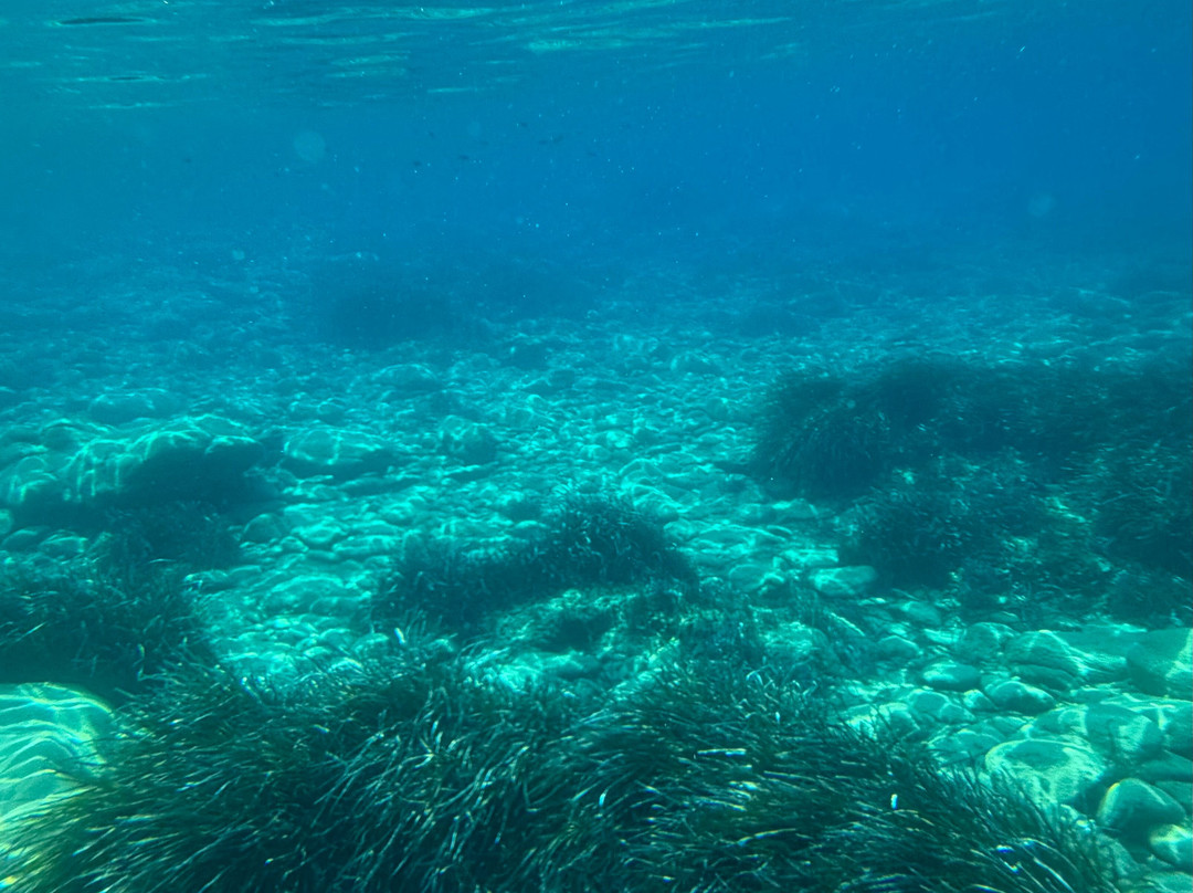 Meltemi Boat Tours, Watersports & Diving-Milopotas必去景点