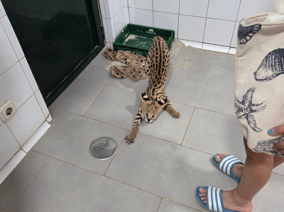 Zoo de Castellar-Castellar de la Frontera必去景点