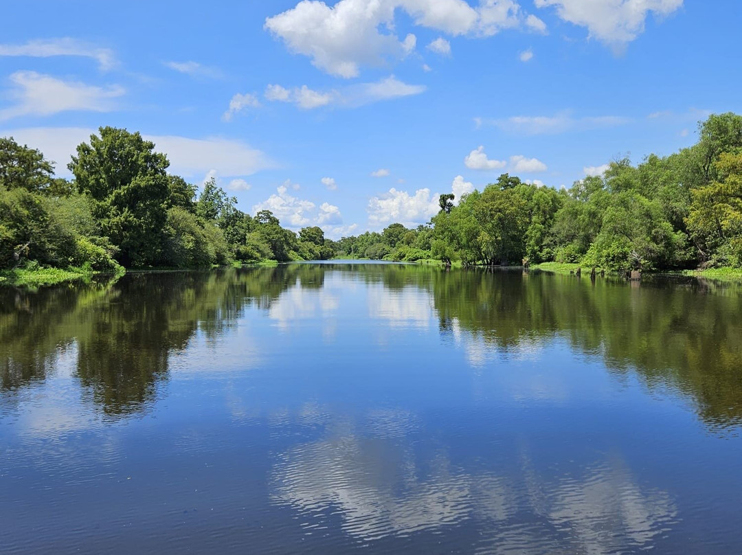 Atchafalaya Basin Landing & Airboat Swamp Tours-布里奥克斯桥必去景点