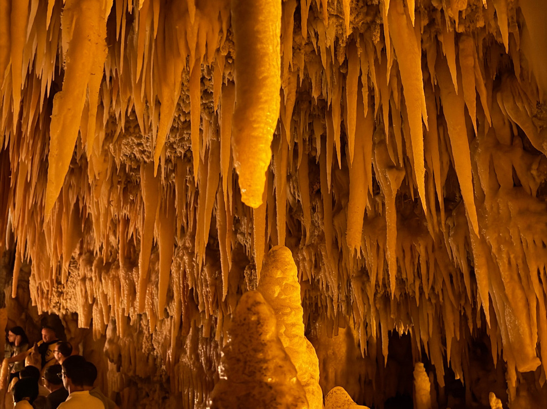 Grotte Di Castellana-卡斯特拉纳格罗泰必去景点