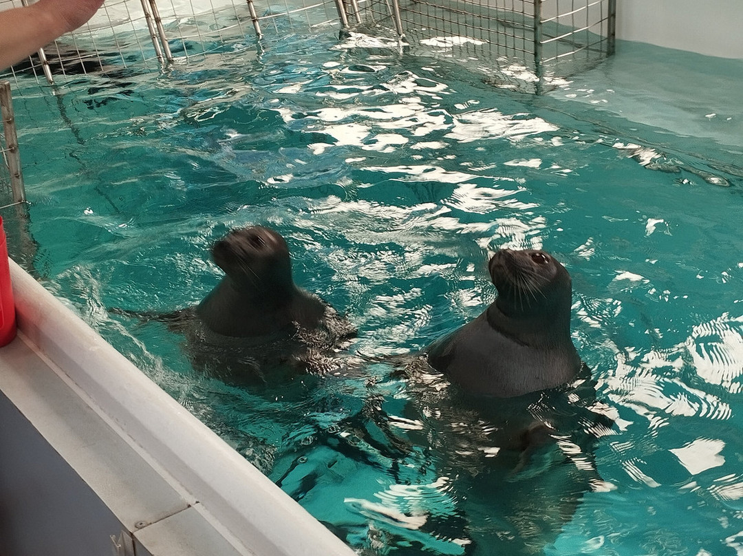 Nerpinary水族馆-利斯特维扬卡必去景点