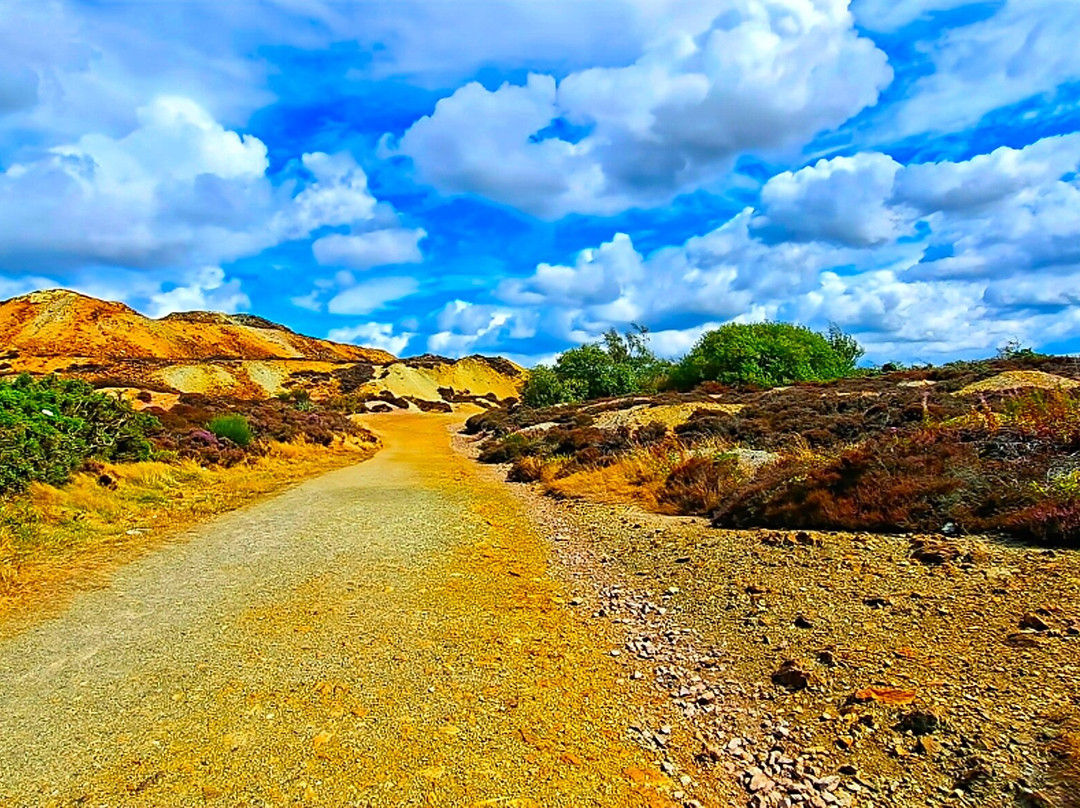 Parys Mountain-Amlwch必去景点