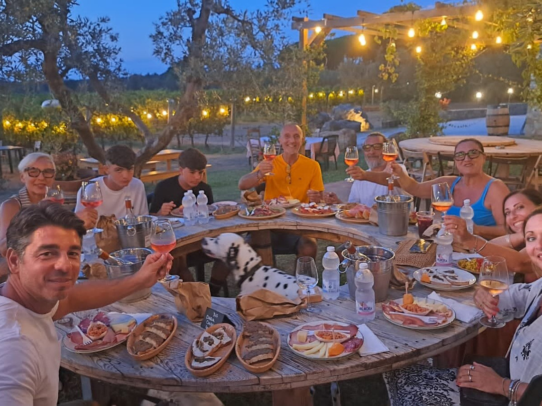 Lq - Le Querce - Wine Tasting-Campiglia Marittima必去景点