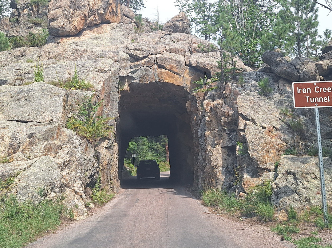Needles Highway
