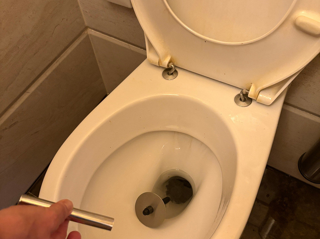 德里巴布酒店主图