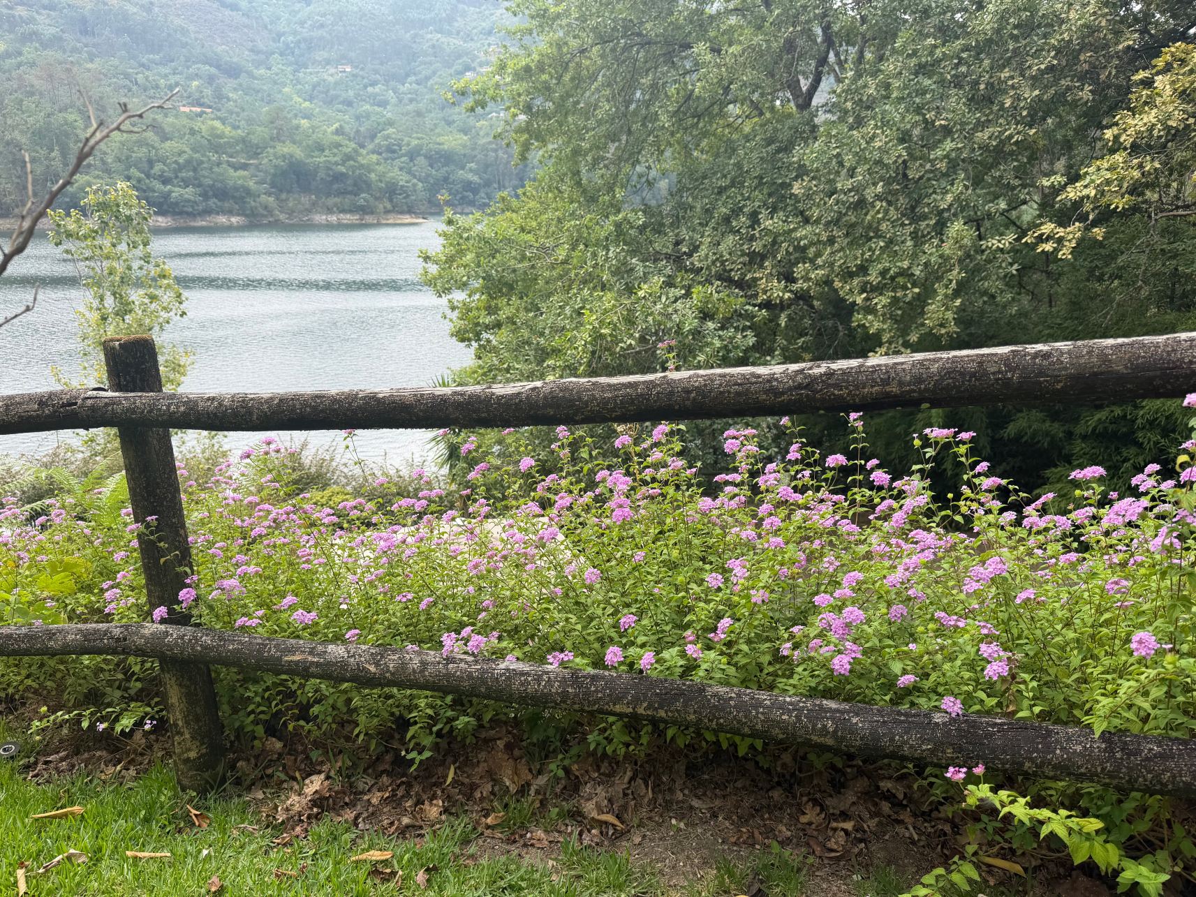 Quinta Dos Carqueijais Resort & Wellness Gerês-旅行者