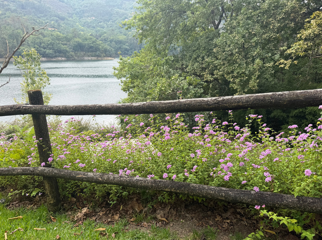 Quinta Dos Carqueijais Resort & Wellness Gerês主图