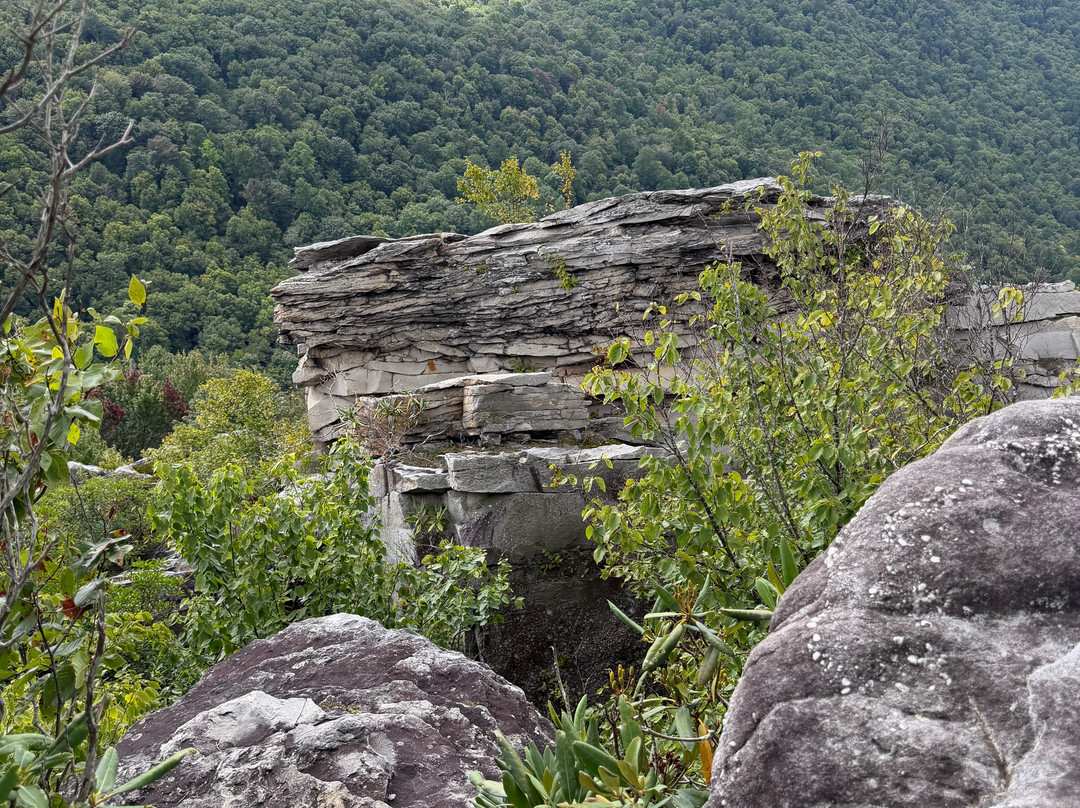 Blackwater Falls State Park-戴维斯必去景点