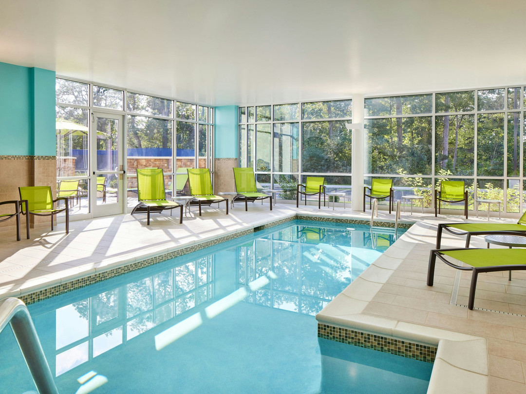 Milford酒店住宿-SpringHill Suites by Marriott Frederica