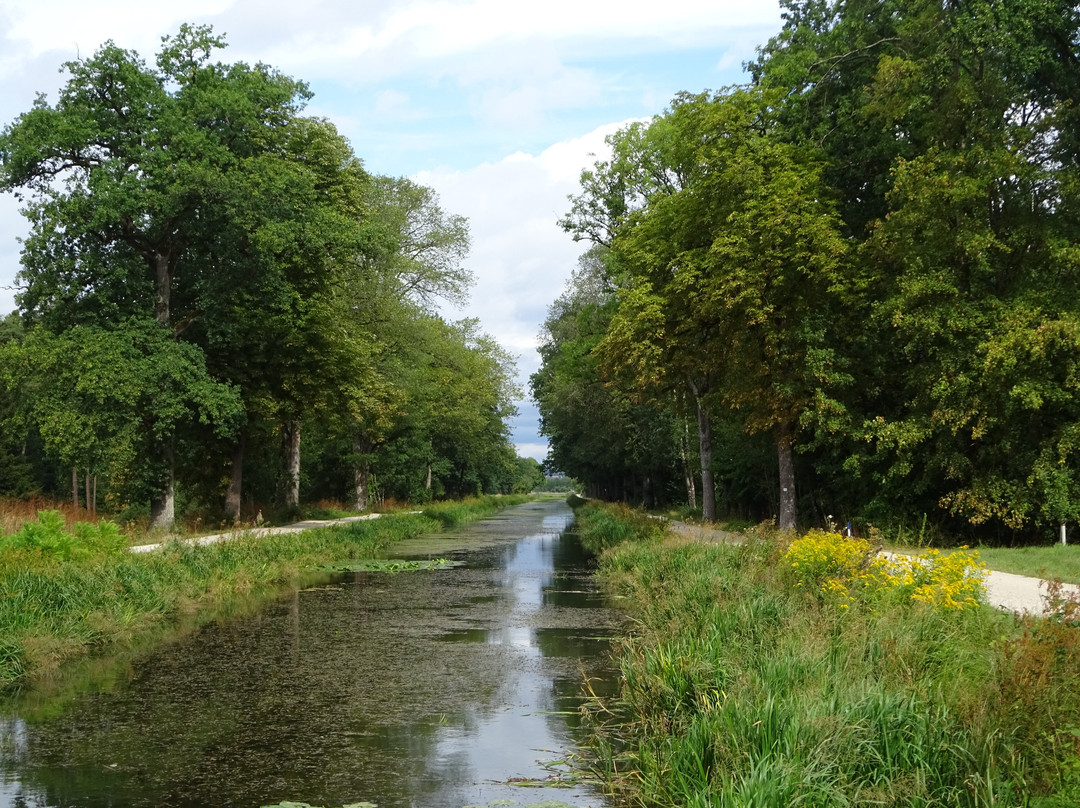 Ludwig-Donau-Main-Kanal-班贝格城必去景点
