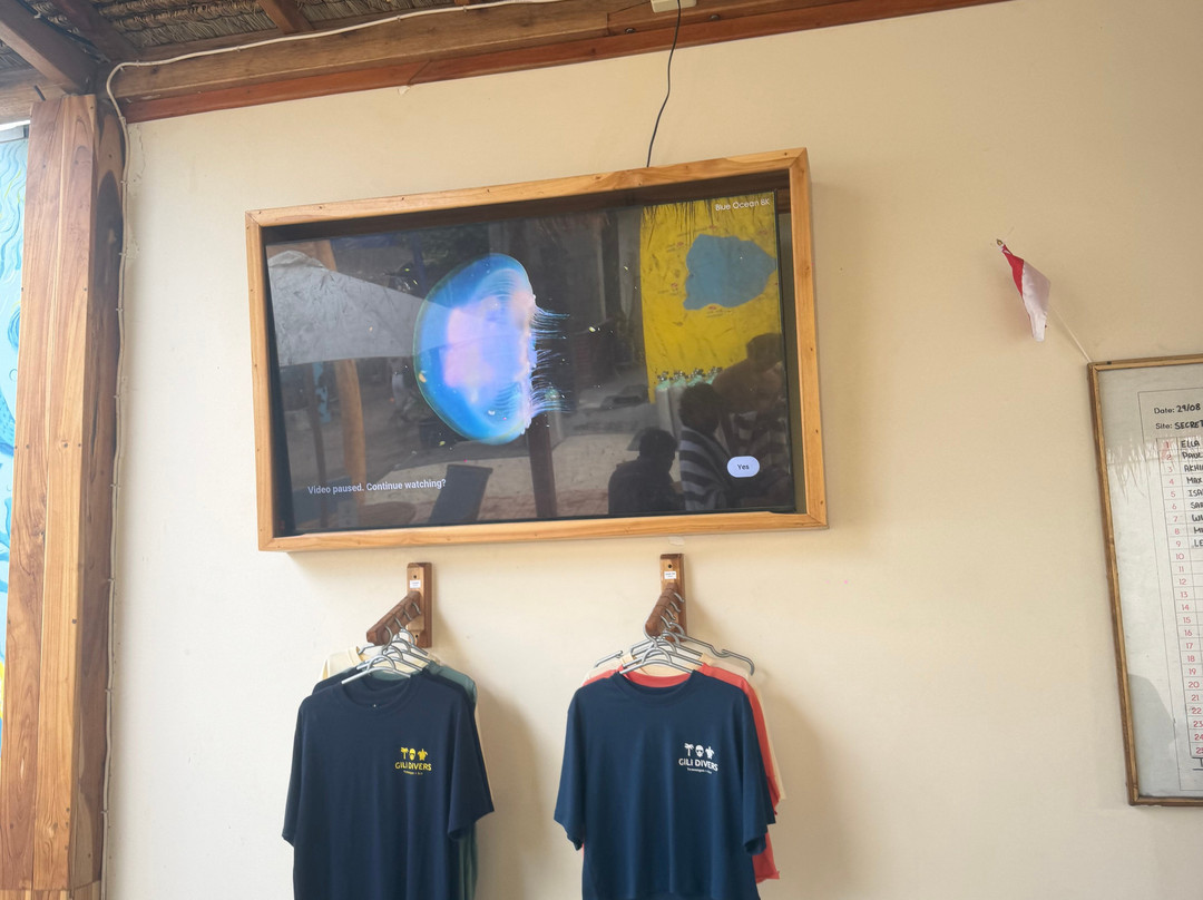 Gili Divers-吉利特拉万安必去景点