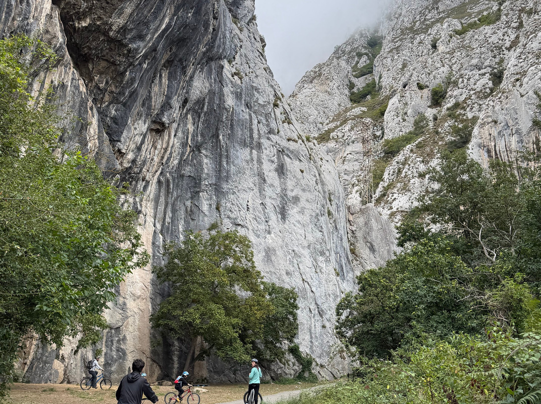 Senda Del Oso Experience - Teverastur-Teverga Municipality必去景点