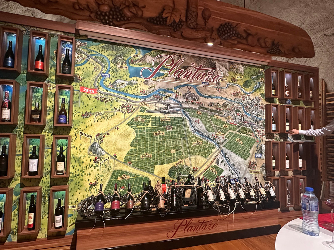 Wine Cellar Šipčanik, 13.jul Plantaže-Tuzi必去景点