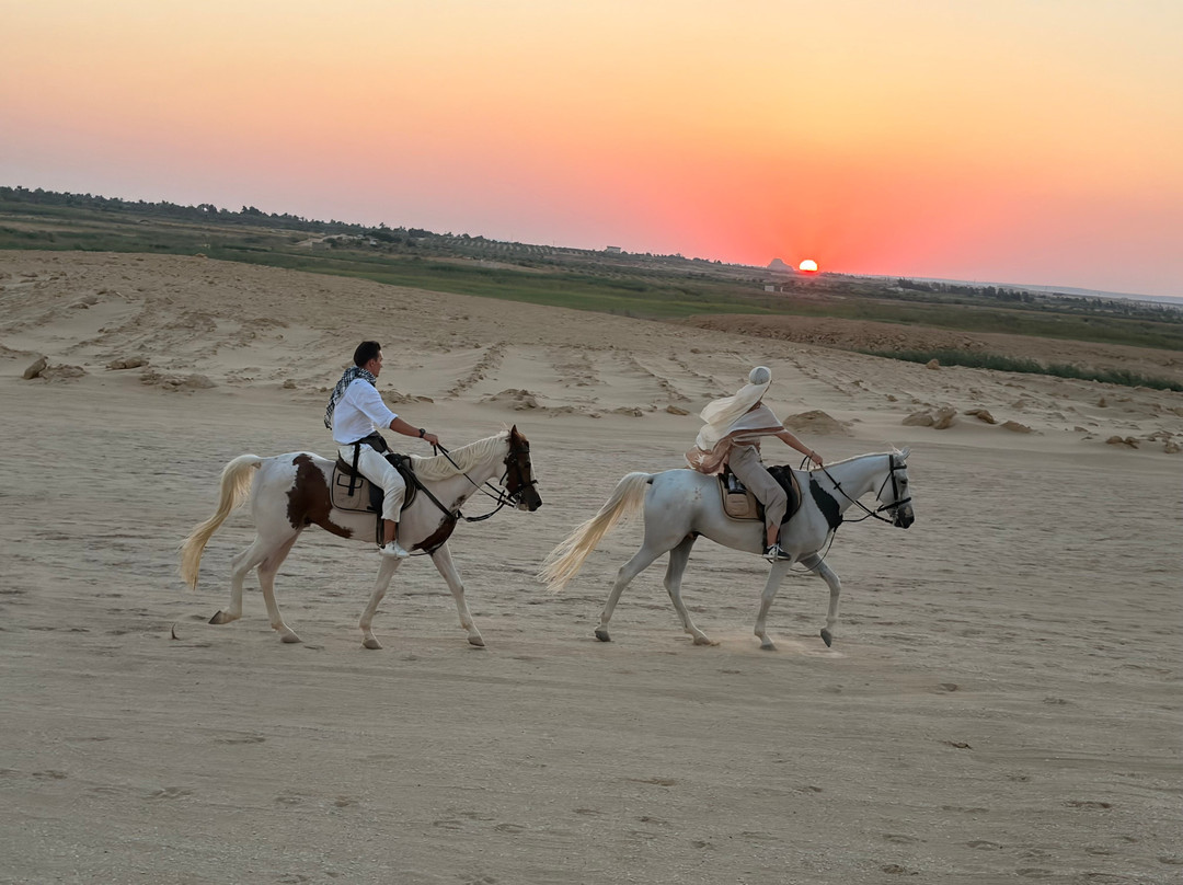 Horse Trips Egypt-Tunis必去景点
