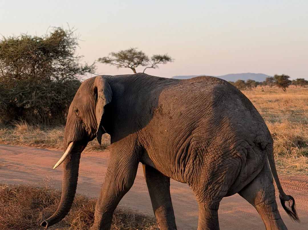 Sereland Africa Safaris-Sakina必去景点