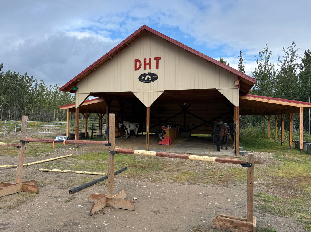 Denali Horseback Tours-德纳利国家公园和自然保护区必去景点