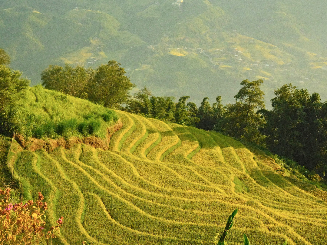 Sapa Trekking Mama Zuzu-沙巴必去景点