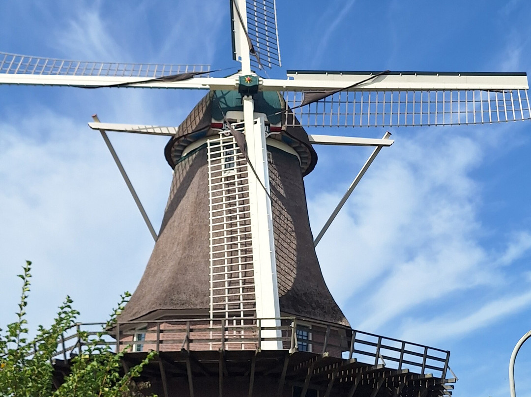Molen Van Sloten-阿姆斯特丹必去景点