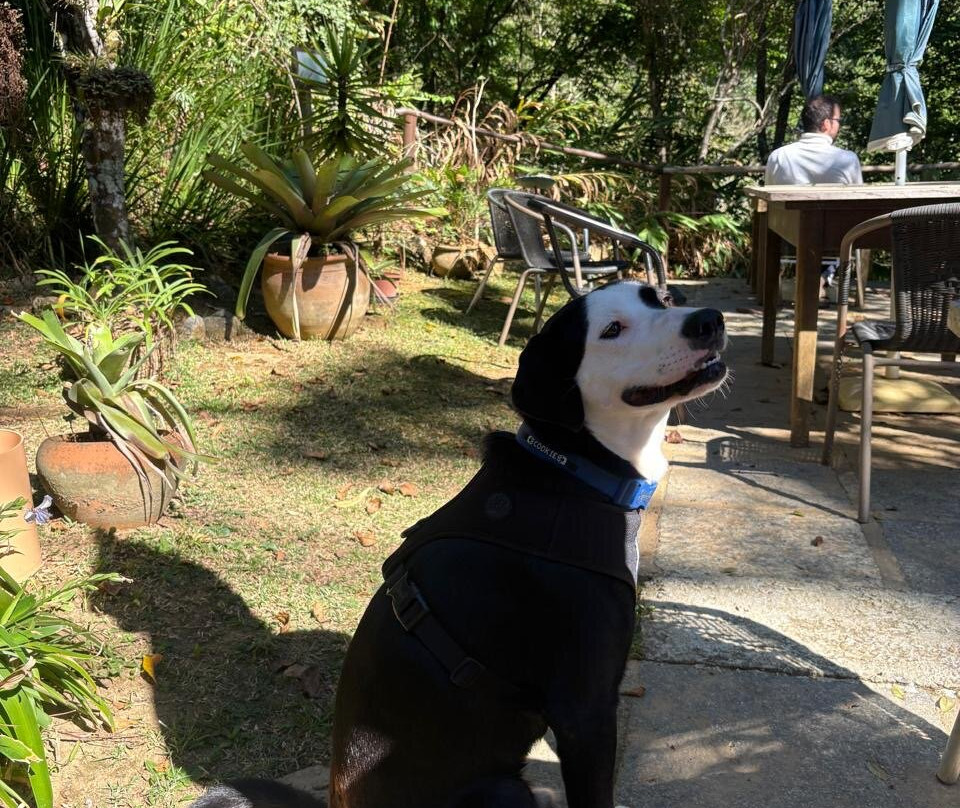 莫里亚旅馆主图