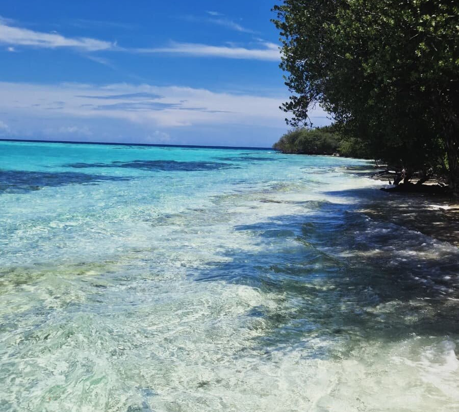 Boaveli Maldives Guesthouse主图
