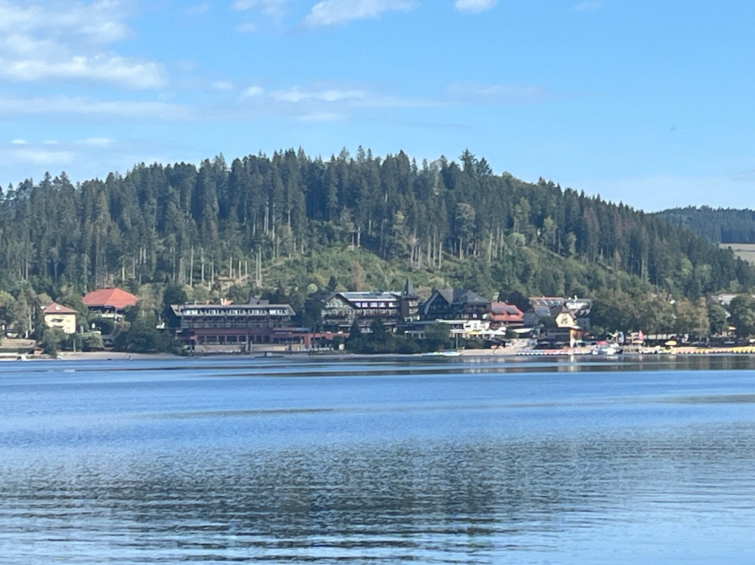 Treschers Schwarzwald Hotel主图
