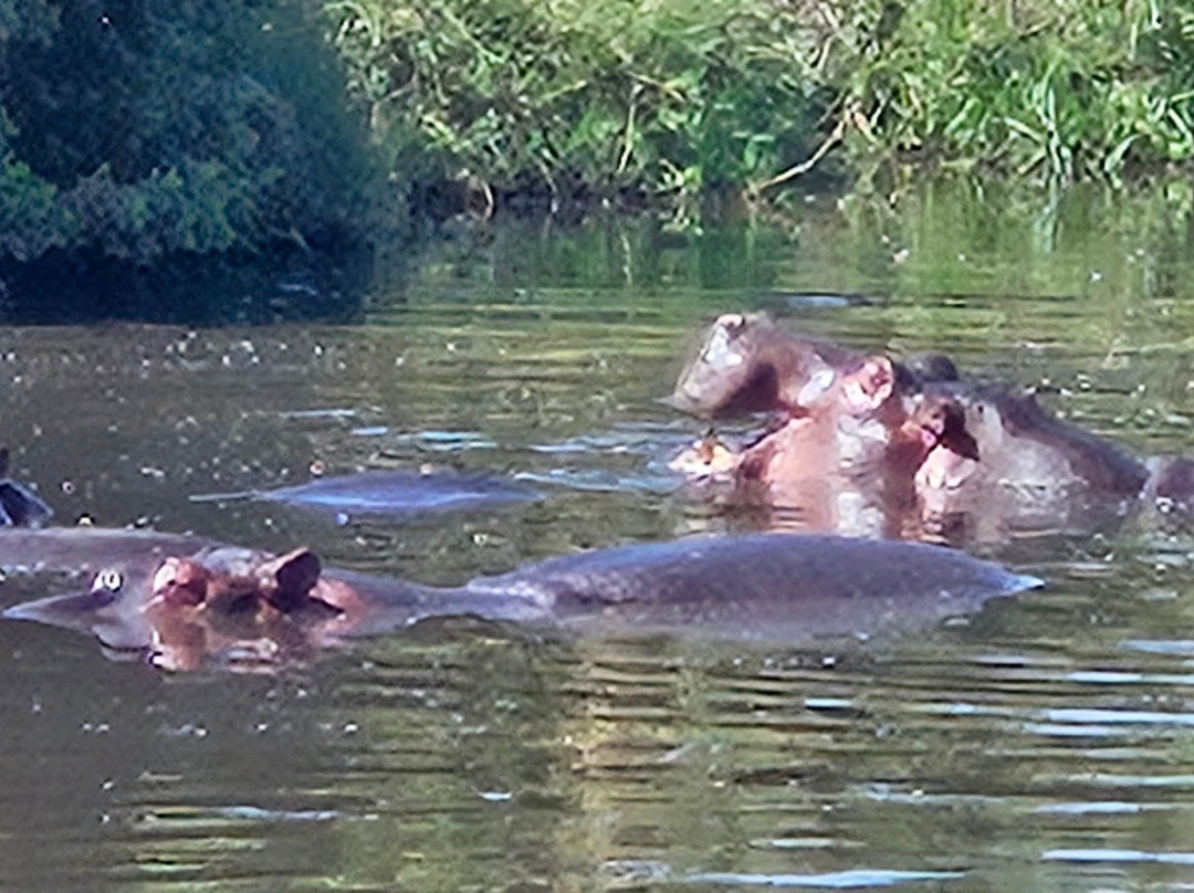 BADGER ADVENTURES TOURS & SAFARI-Arusha Chini必去景点