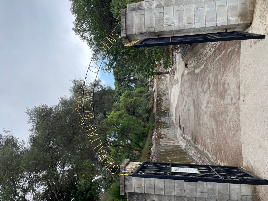 Gibraltar Botanic Gardens (The Alameda)-直布罗陀必去景点