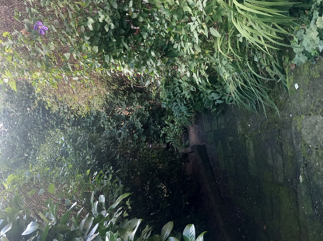 劳斯维特住宿加早餐旅馆主图