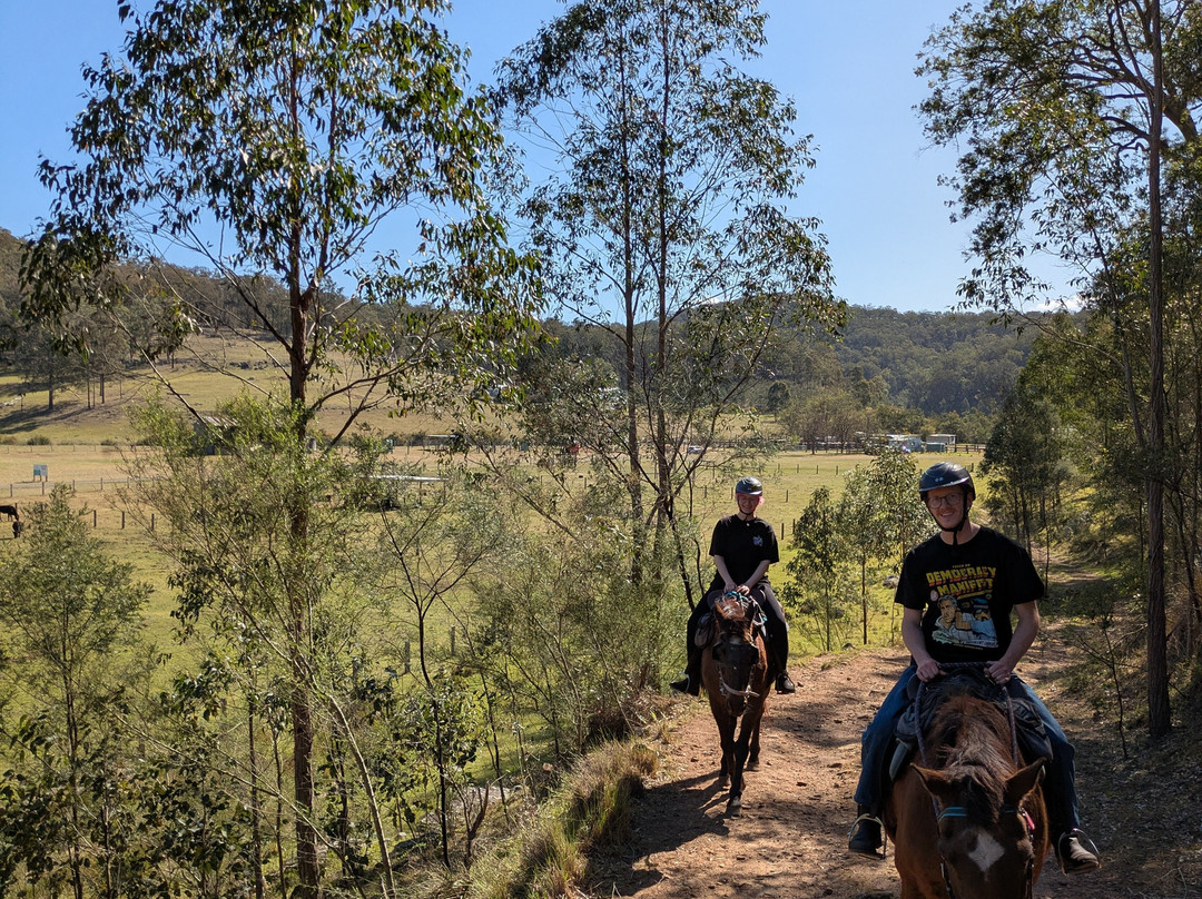 Chapman Valley Horse Riding-Howes Valley必去景点