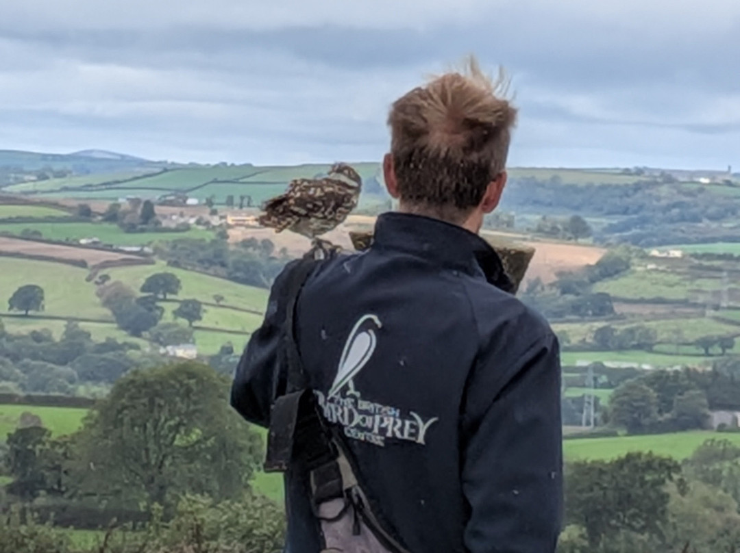 The British Bird of Prey Centre-喀麦登必去景点