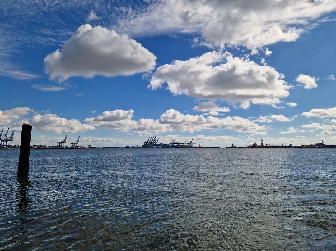The Harbour Ferry-费力克斯托必去景点