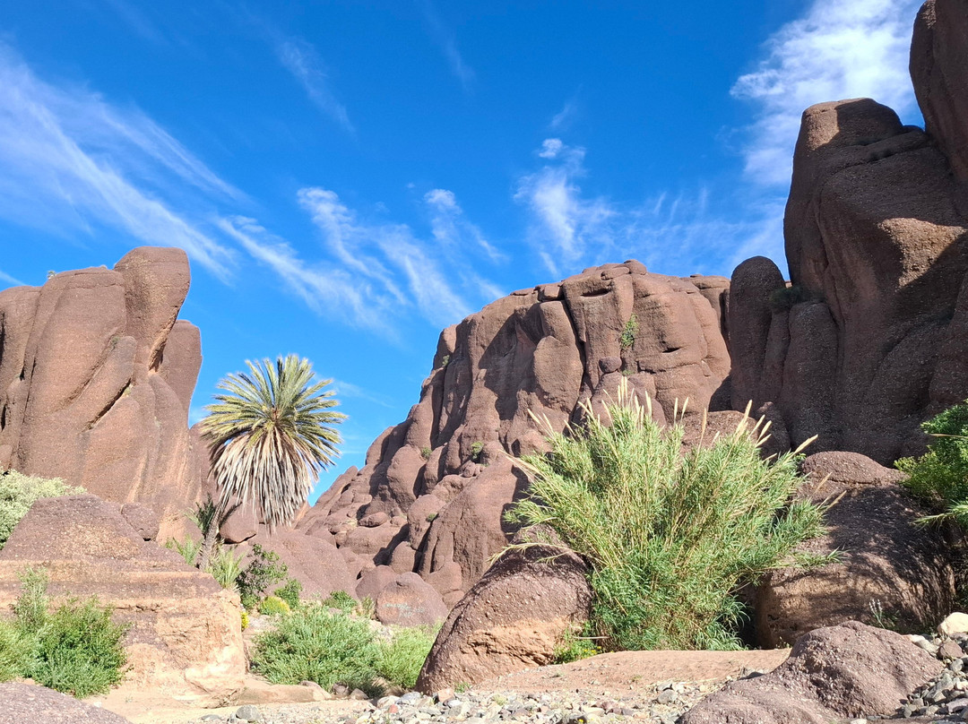 Jebel Trekking-马拉喀什必去景点