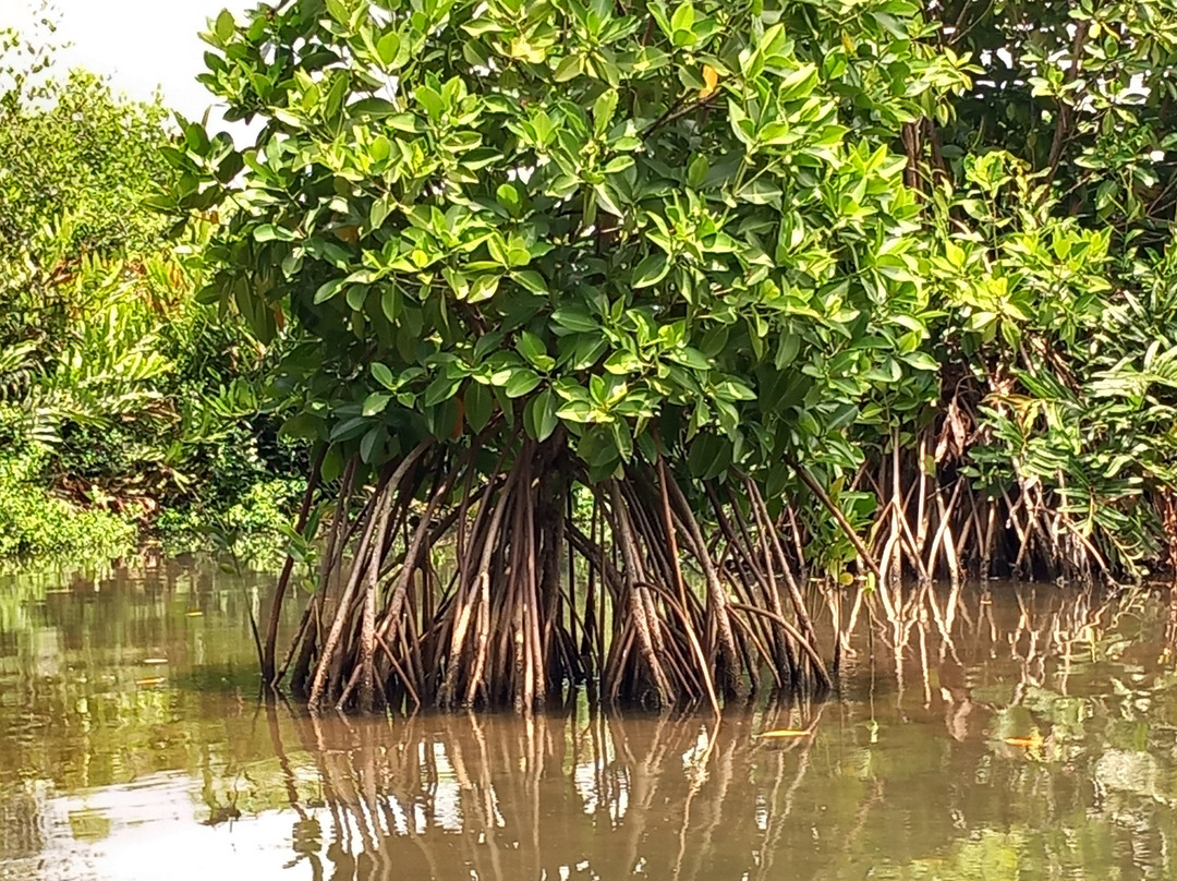 Kerala Backwaters-卡拉拉必去景点