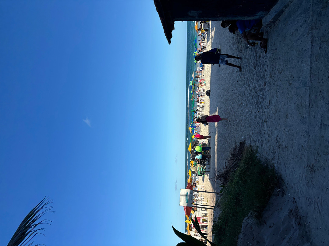 Praia do Francês-Praia do Frances必去景点