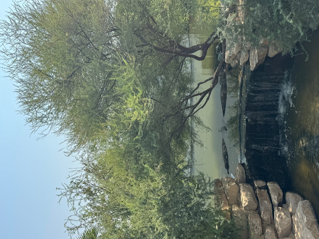 Dubai Crocodile Park-迪拜必去景点