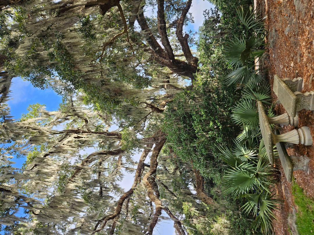 Airlie Gardens-威尔明顿必去景点