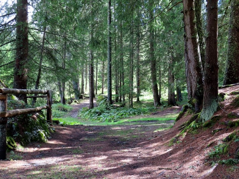 Passeggiata da Pescul al Rifugio Aquileia-Pescul必去景点