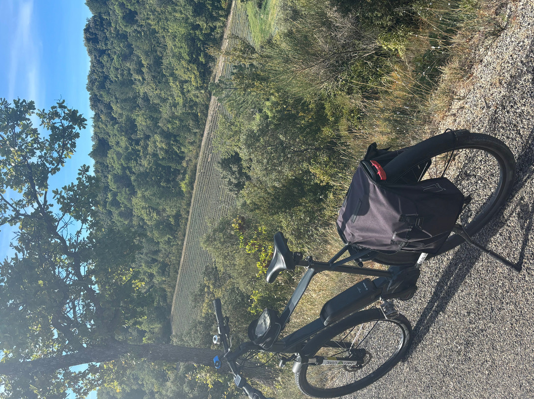 Sun-E-Bike-韦松拉罗迈纳必去景点