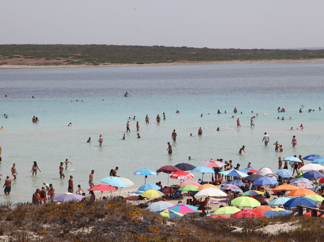 La Pelosa Beach-斯廷蒂诺必去景点