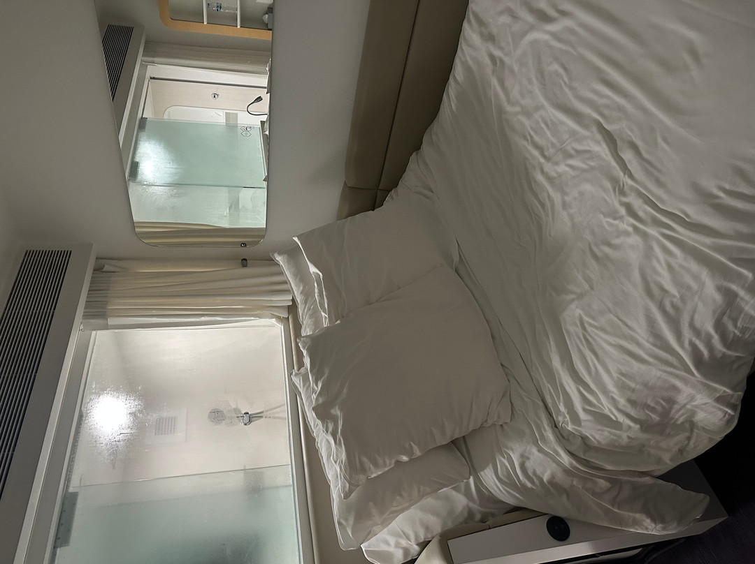 优特莱尔新加坡樟宜机场酒店主图